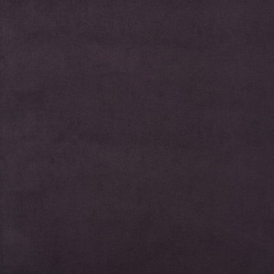 Superb Amethyst -