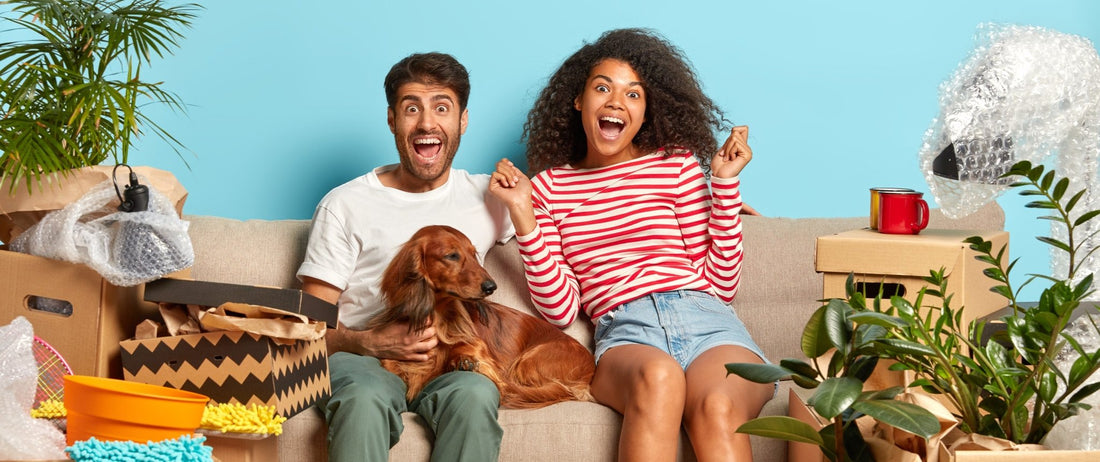 best furniture to buy for apartments affordable furniture