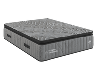 Couch Potato Reserve Soft PT Mattress -
