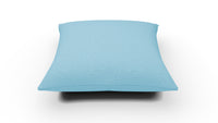 ACP 17 Square Pillow - Bennett Peacock