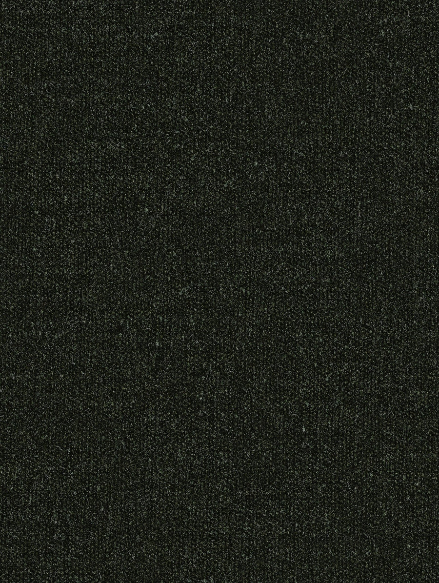 Ravina Forest -