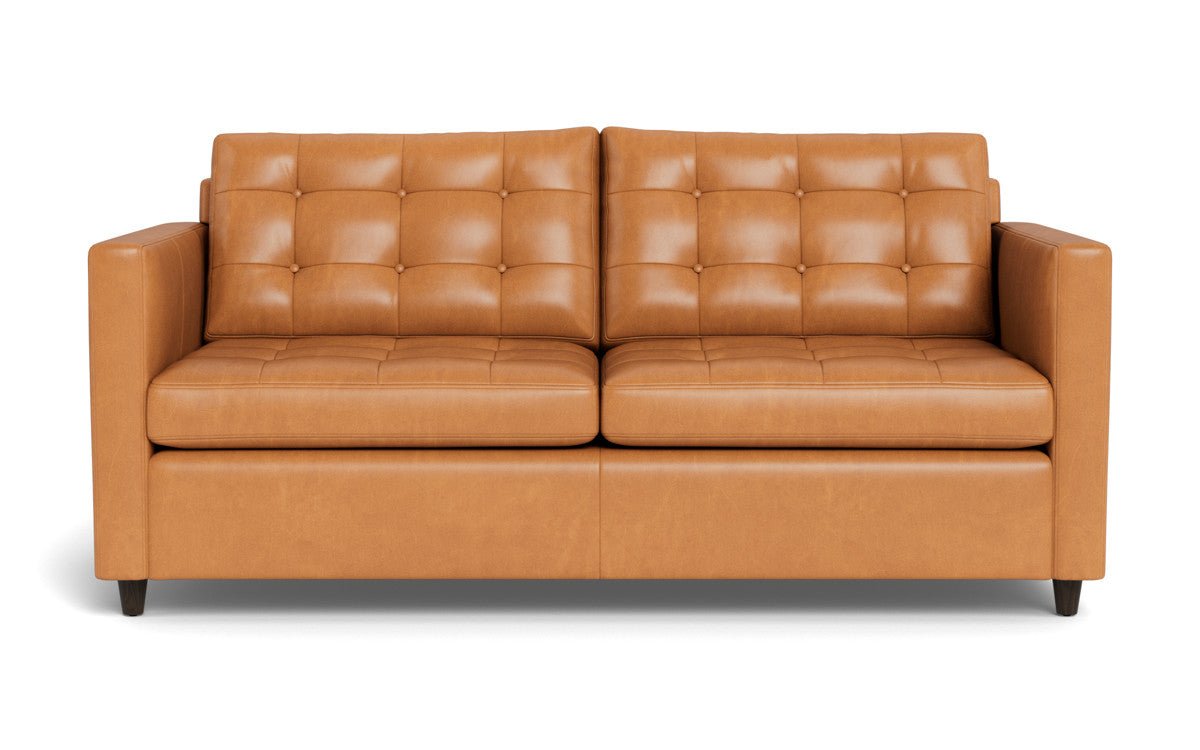 Wallace 74" Leather Queen Sleeper Sofa - Hudson Lager