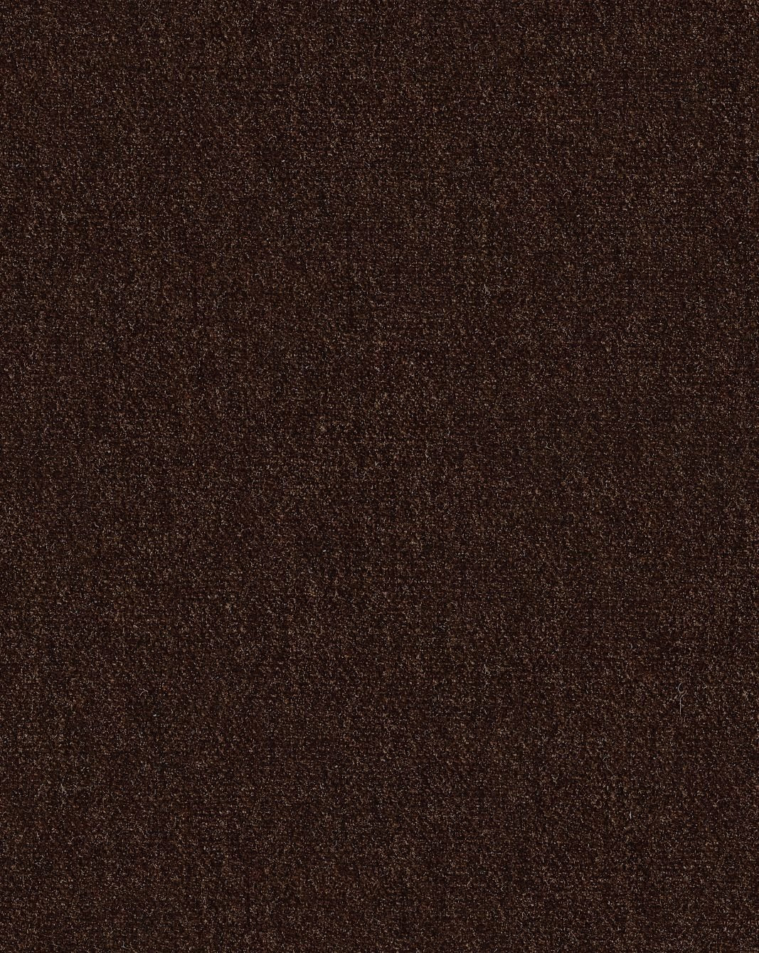 Rainey 59" Loveseat - Ravina Espresso