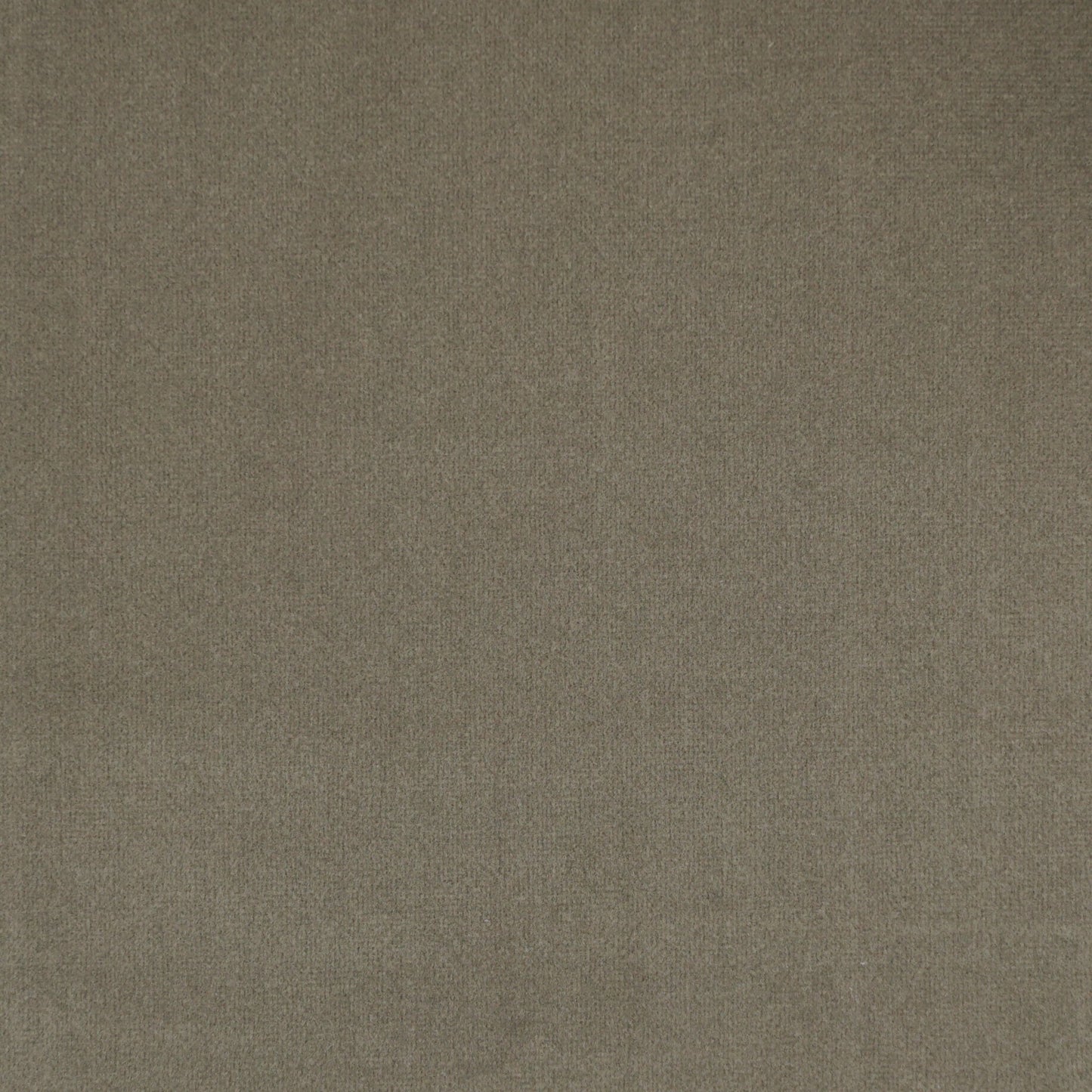 ACP 17 Square Pillow - Toscana Otter