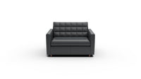 Wallace 52" Leather Twin Sleeper Chair - Tribeca Black