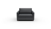 Wallace 52" Leather Untufted Twin Sleeper Chair - Tribeca Black