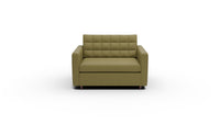 Wallace 52" Twin Sleeper Chair - Amigo II Garden