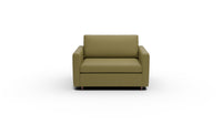 Wallace 52" Untufted Twin Sleeper Chair - Amigo II Garden