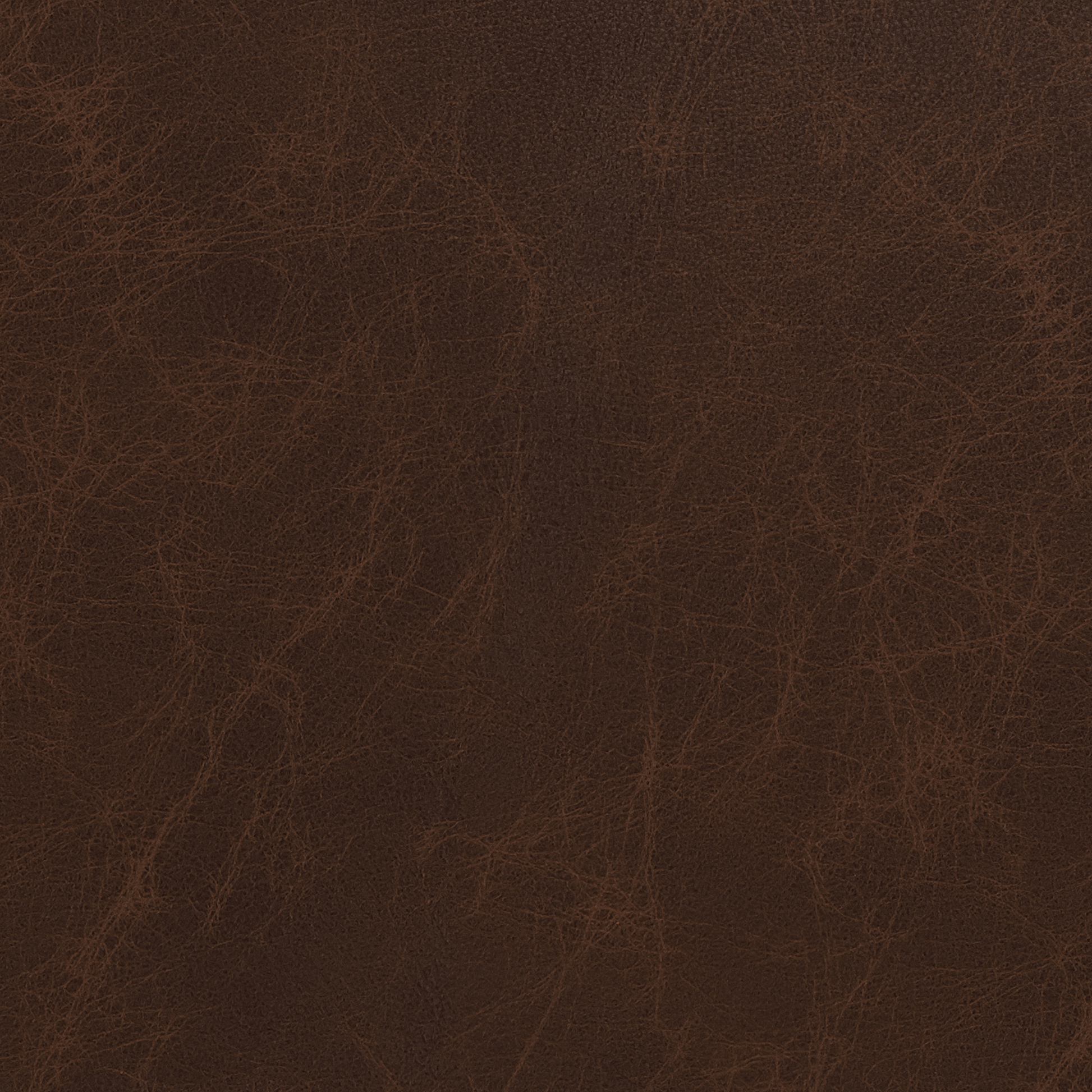 Ladybird Leather Armless Loveseat - Cheyenne Arrowshaft