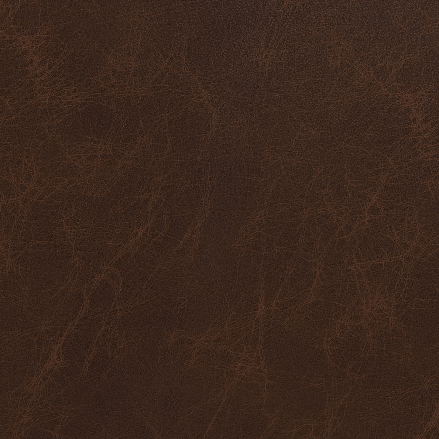 Lamar 69" Leather Loveseat - Cheyenne Arrowshaft