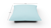 ACP 17 Square Pillow - Superb Hacienda