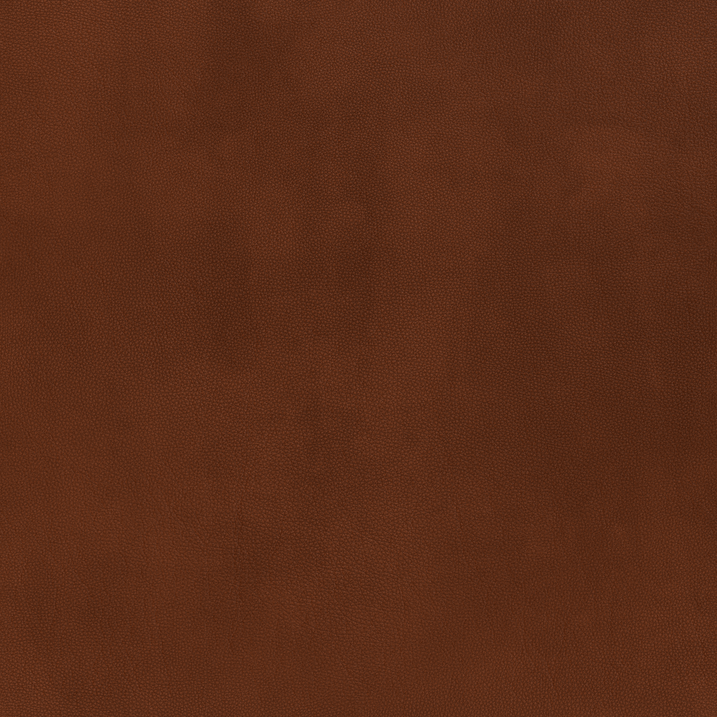 Mesa Leather Raf Condo Sofa - Ever-Last Leverage