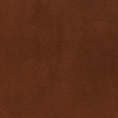 Mesa Leather Raf Condo Sofa - Ever-Last Leverage