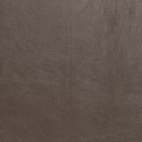 Ladybird Leather Raf Chair - Hudson Iron