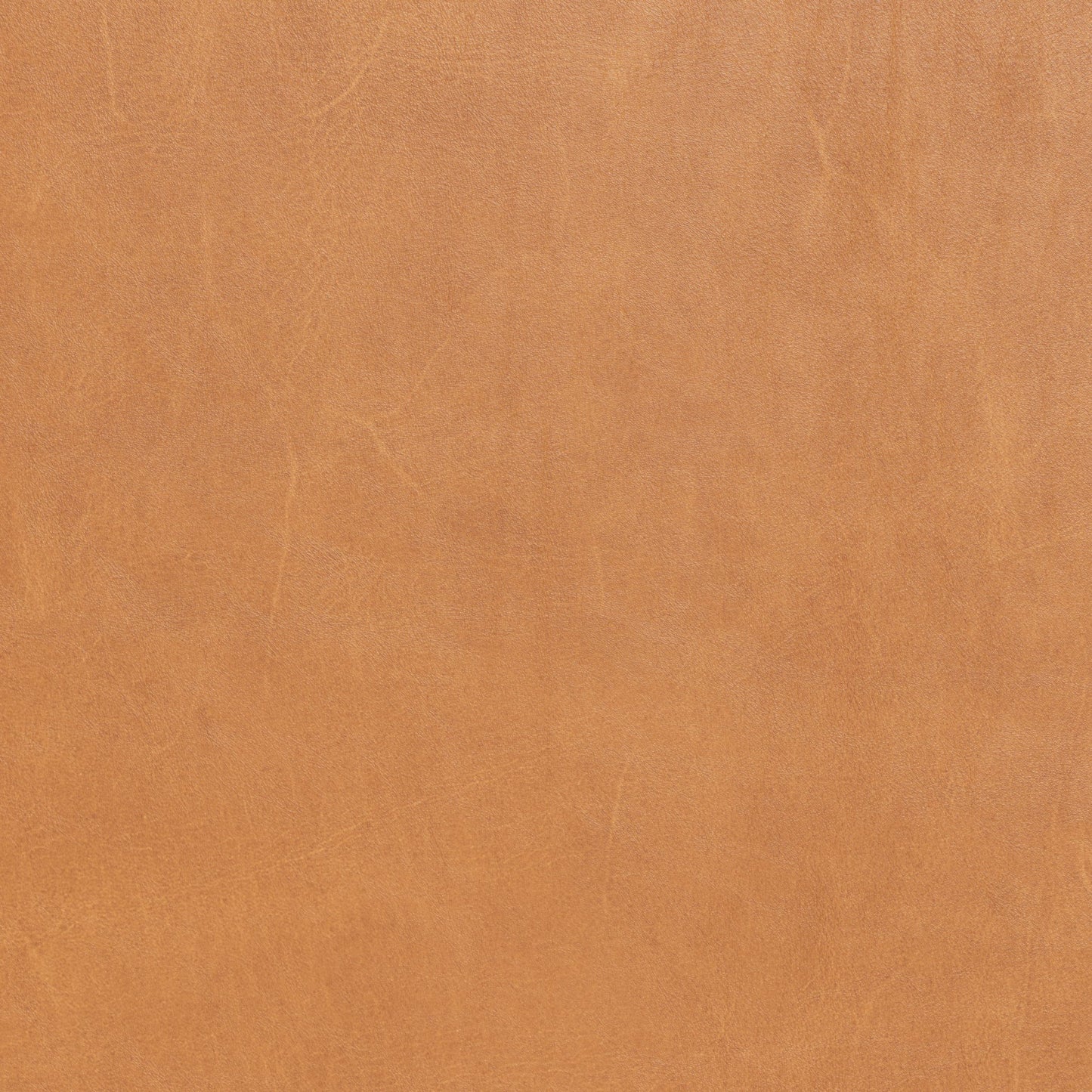 Ladybird Leather RAF Condo Sofa - Hudson Ivory