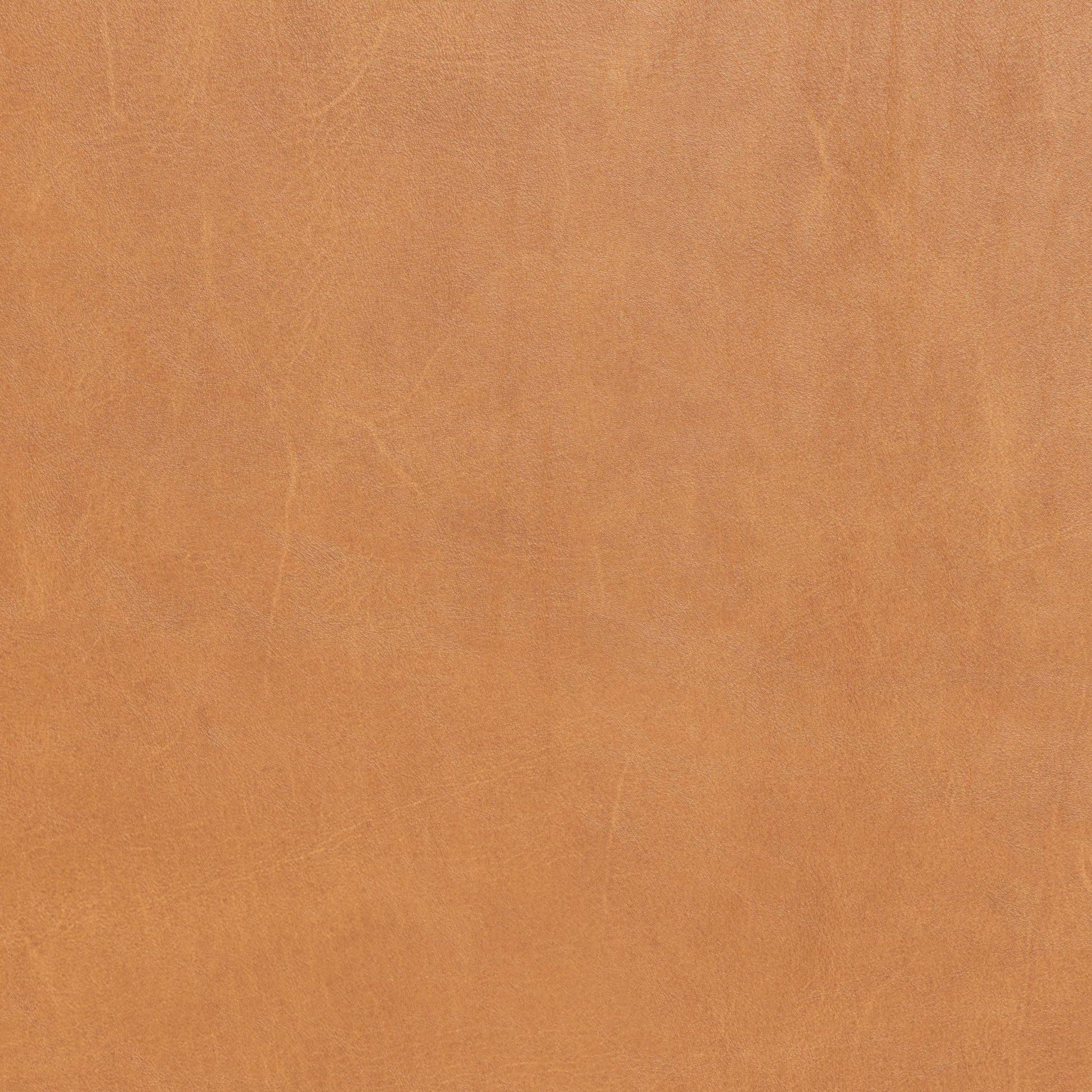 Ladybird Leather RAF Condo Sofa - Hudson Ivory