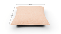ACP 19 Square Pillow - Superb Peacock