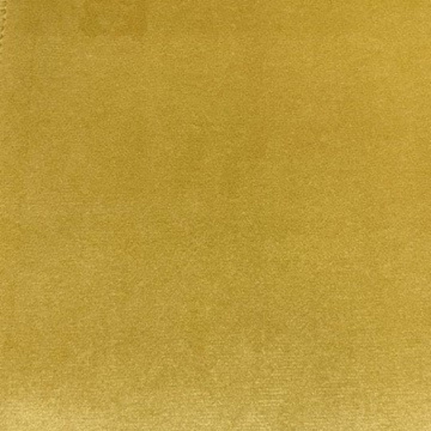 Sorrento Sunflower -