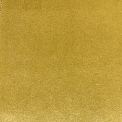 Sorrento Sunflower -